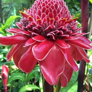 Meet your Posher, Caitlyn